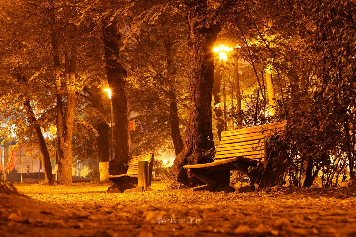 Ночной парк осенью