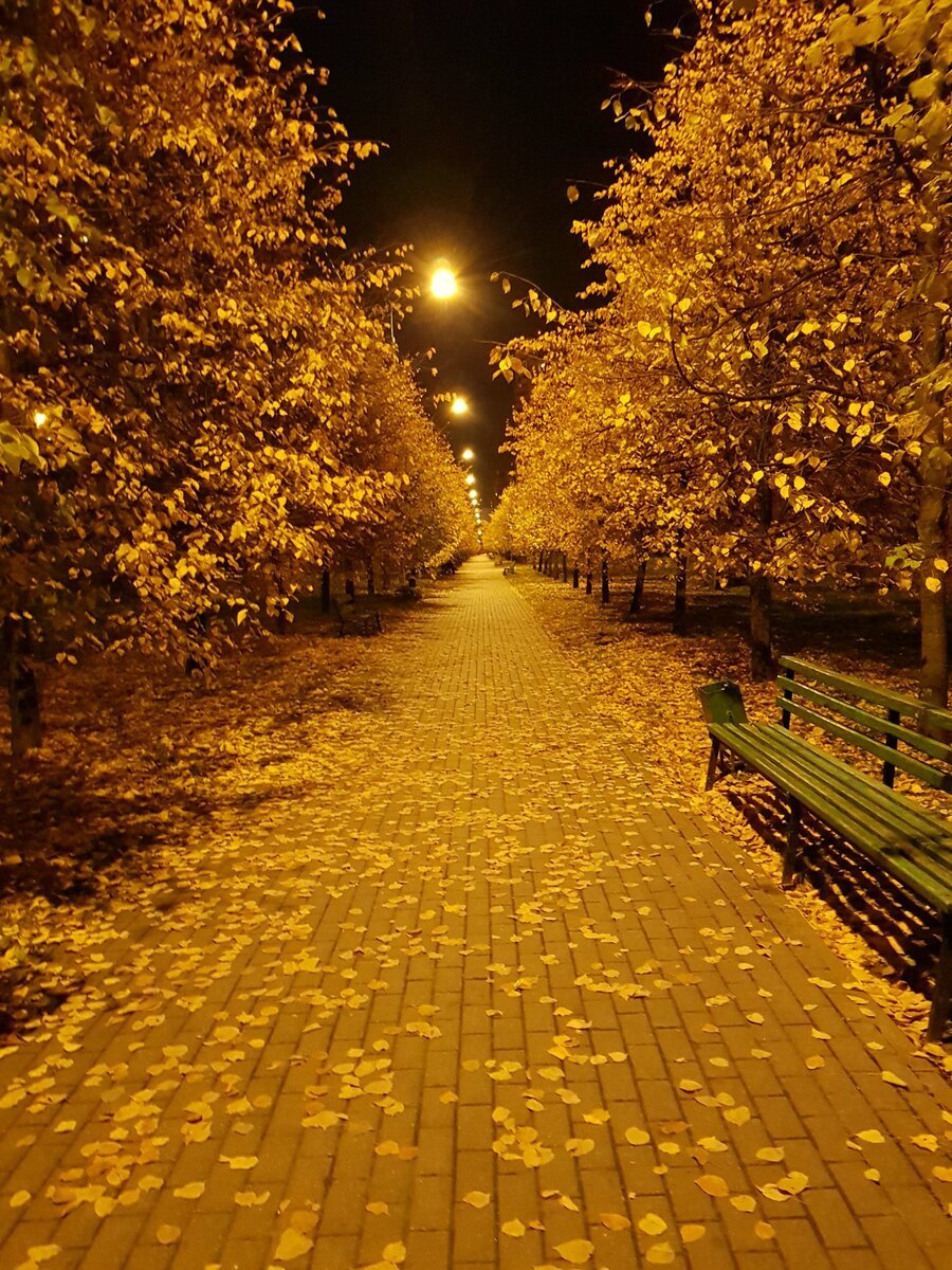 ночная осень картинки