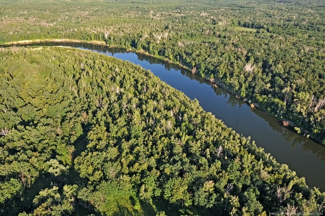Лес Тверской области с высоты птичьего полёта
