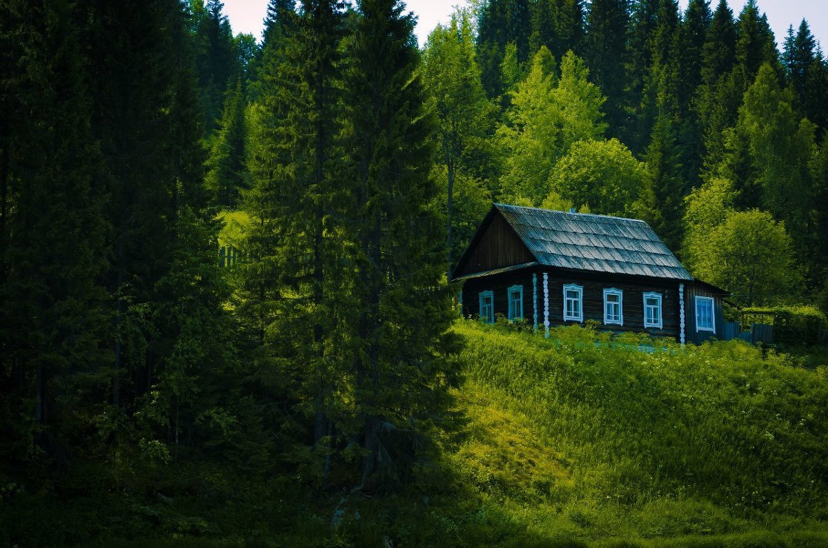 Дом В Лесу Фото