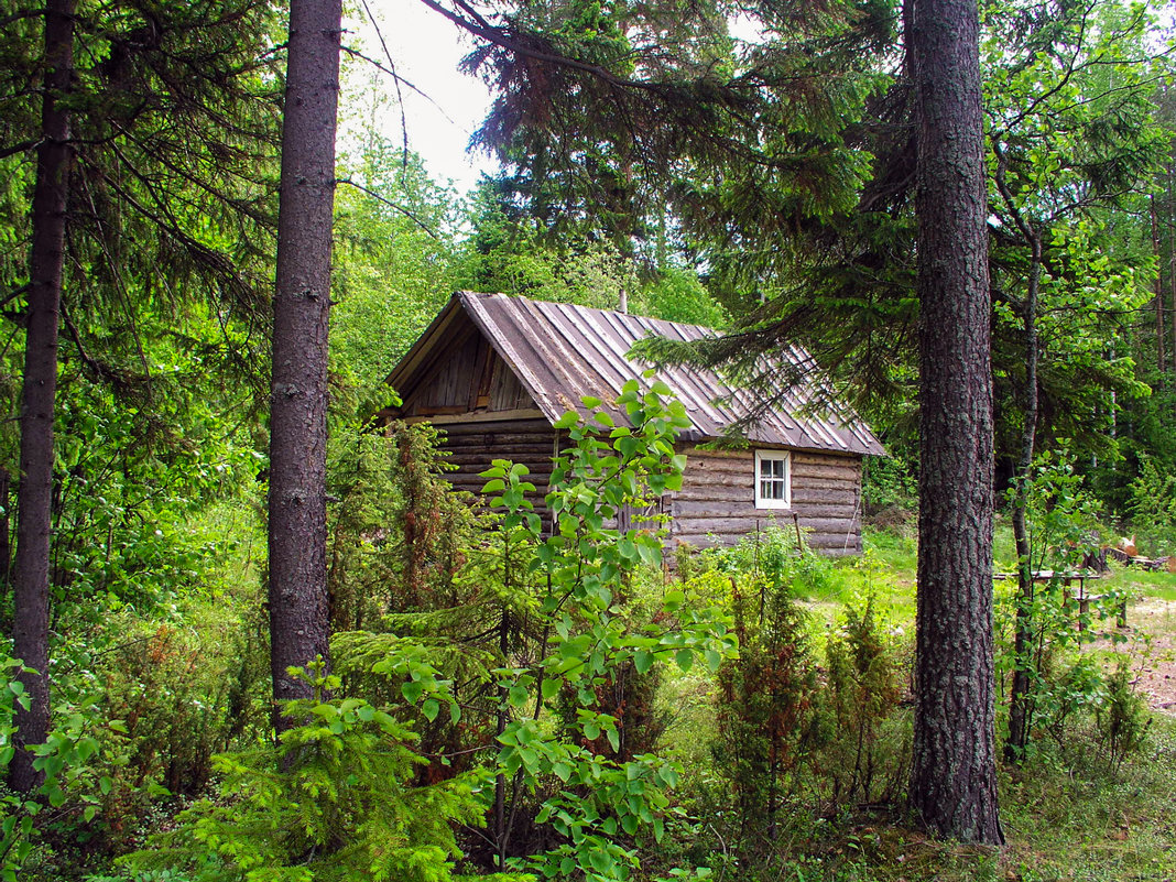 Лесной дом лесника