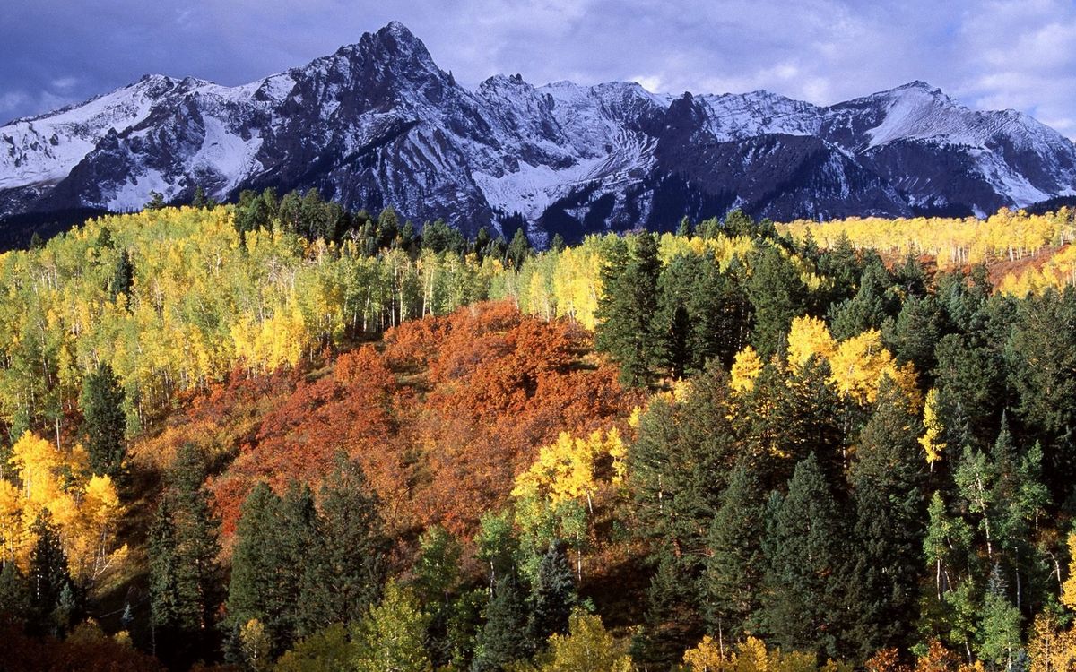Осенний лес в горах