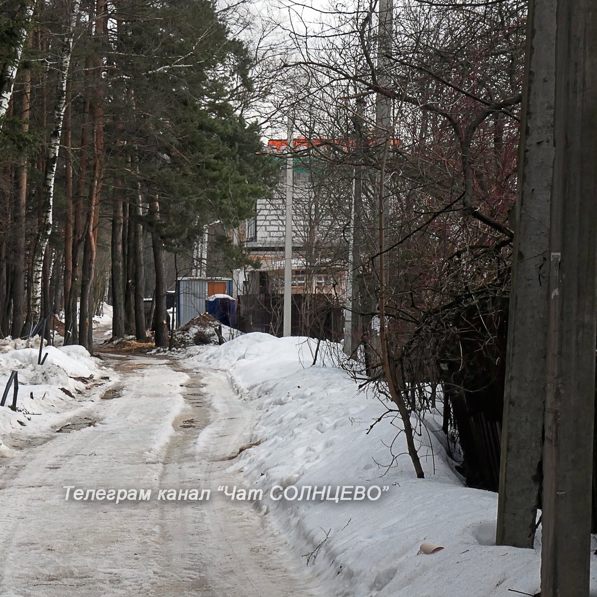 Карта говоровский лес