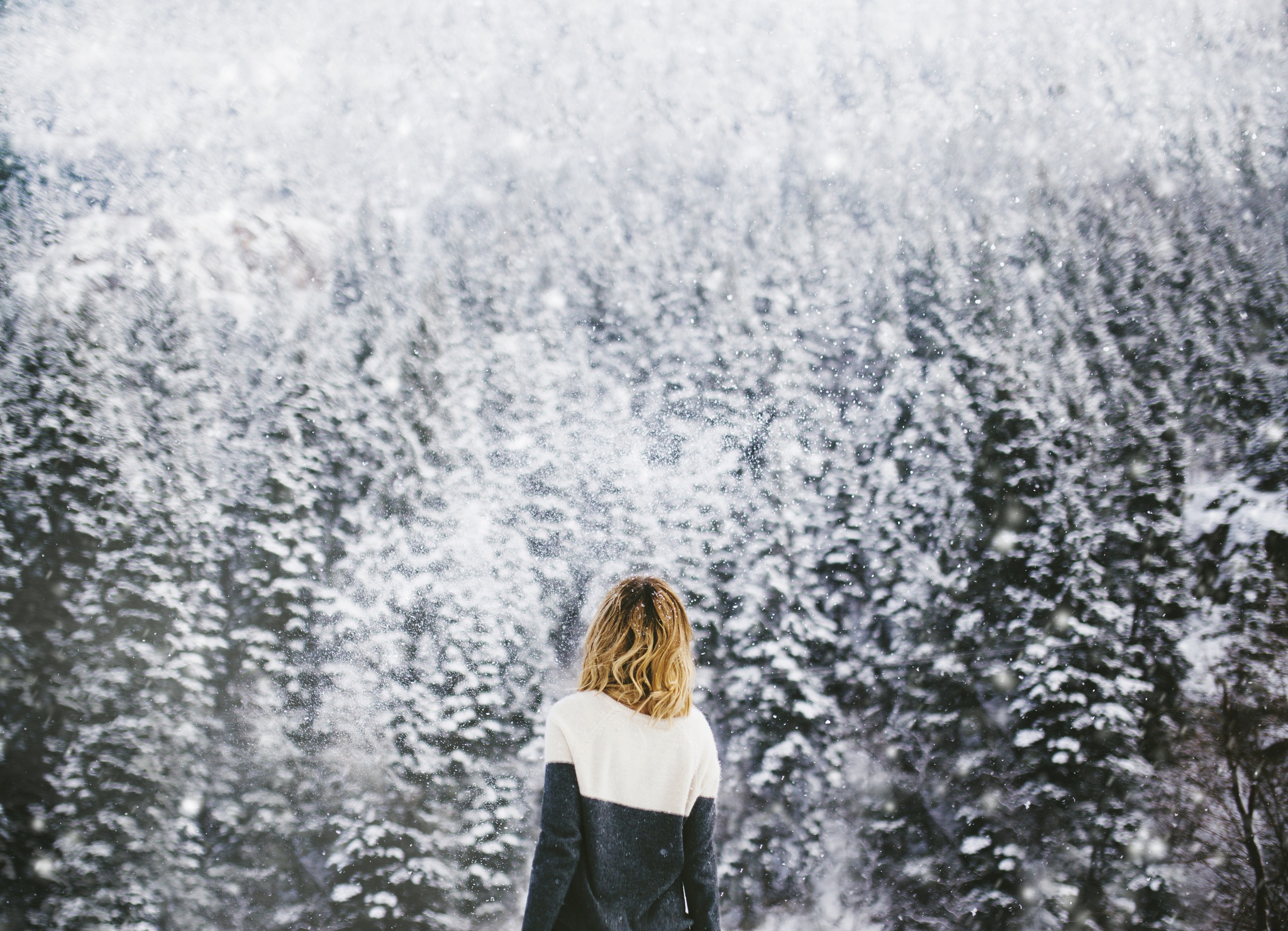 Снег девушка со спины