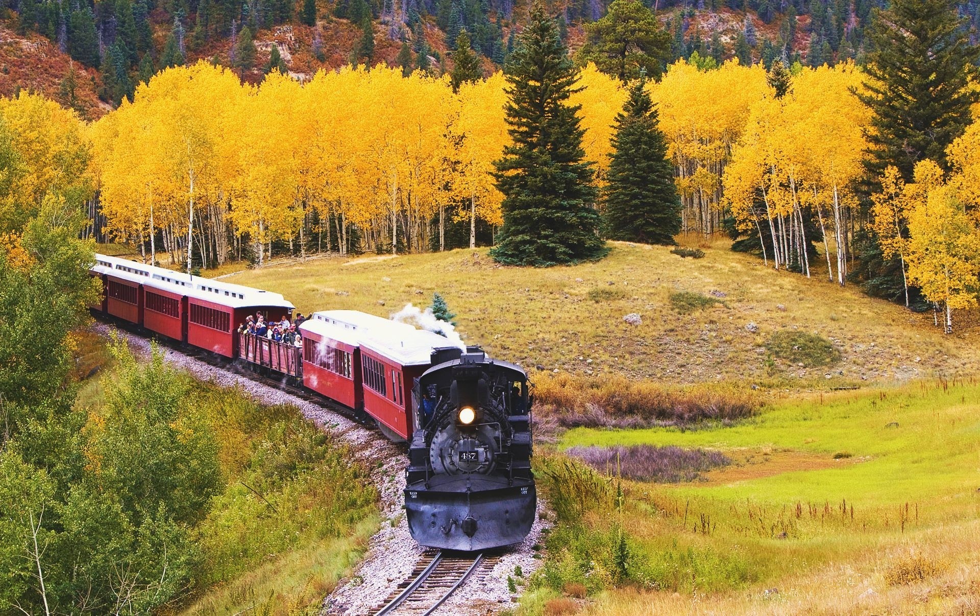 Поезд на фоне природы