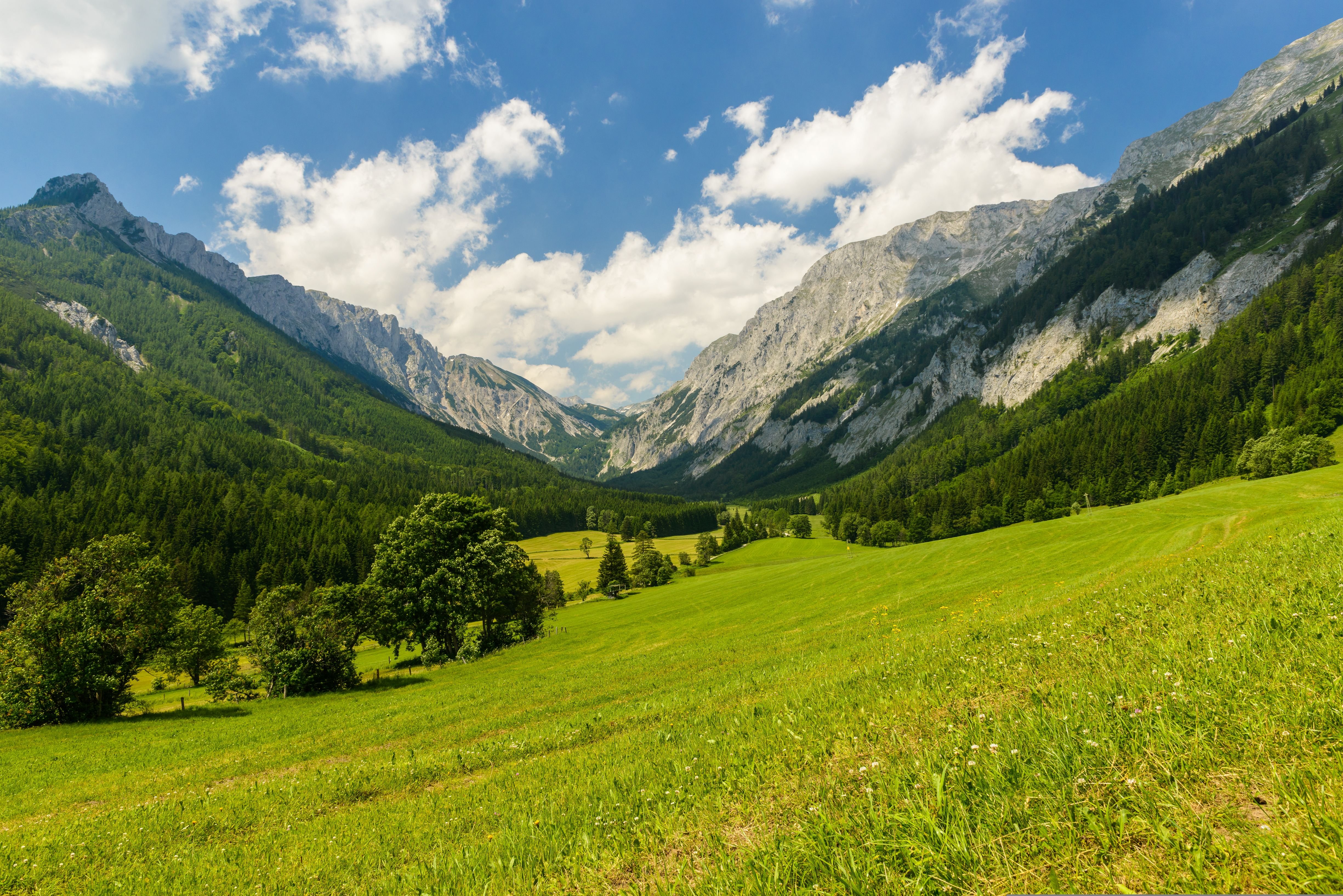 Горы зеленые Кавказ Сочи