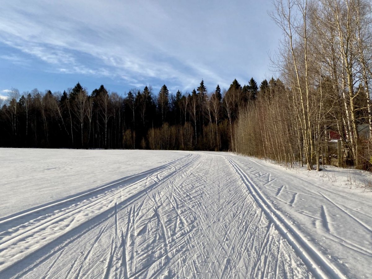 Село Цюрупы лыжная трасса