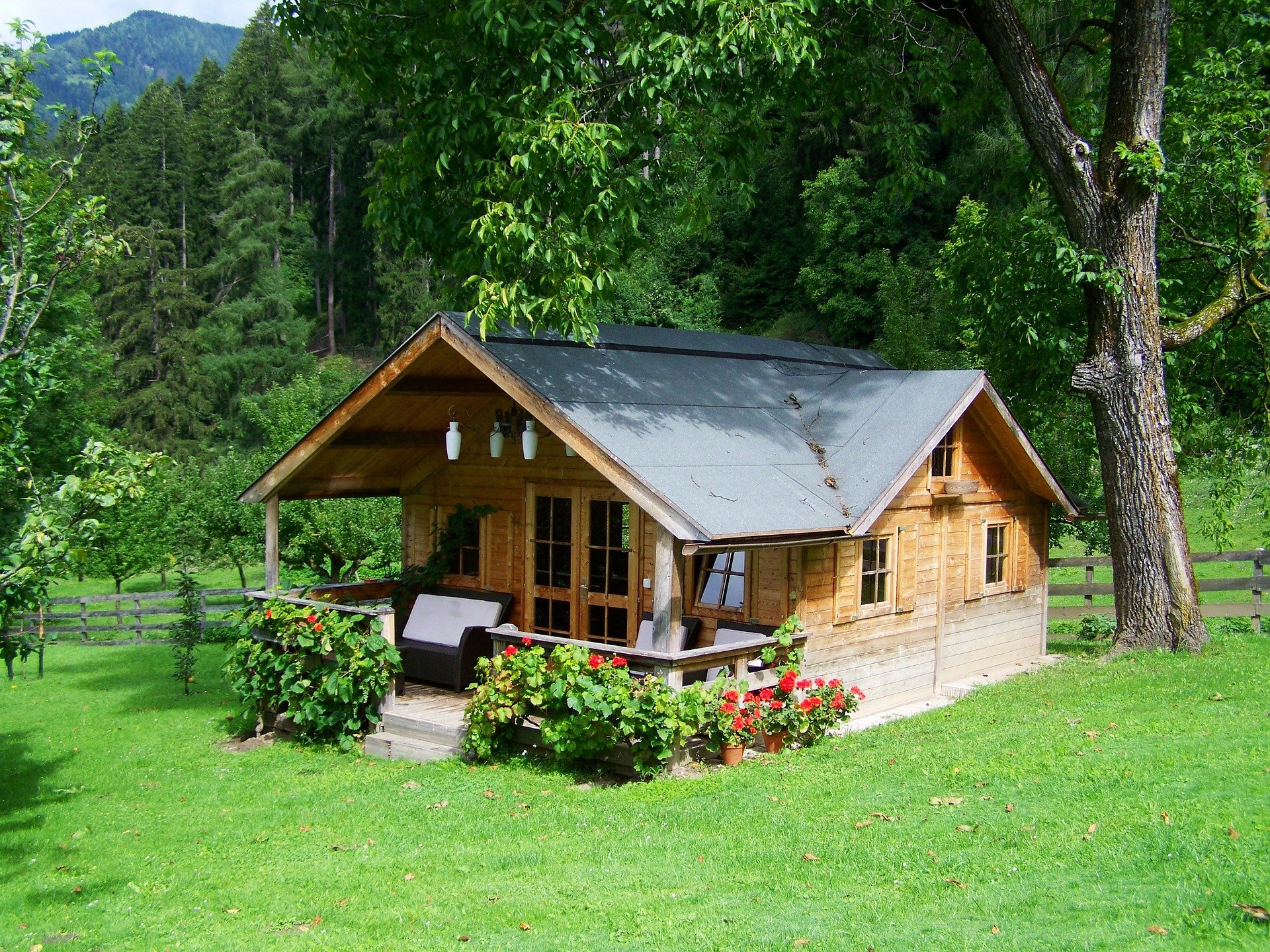 Маленький Дом В Лесу