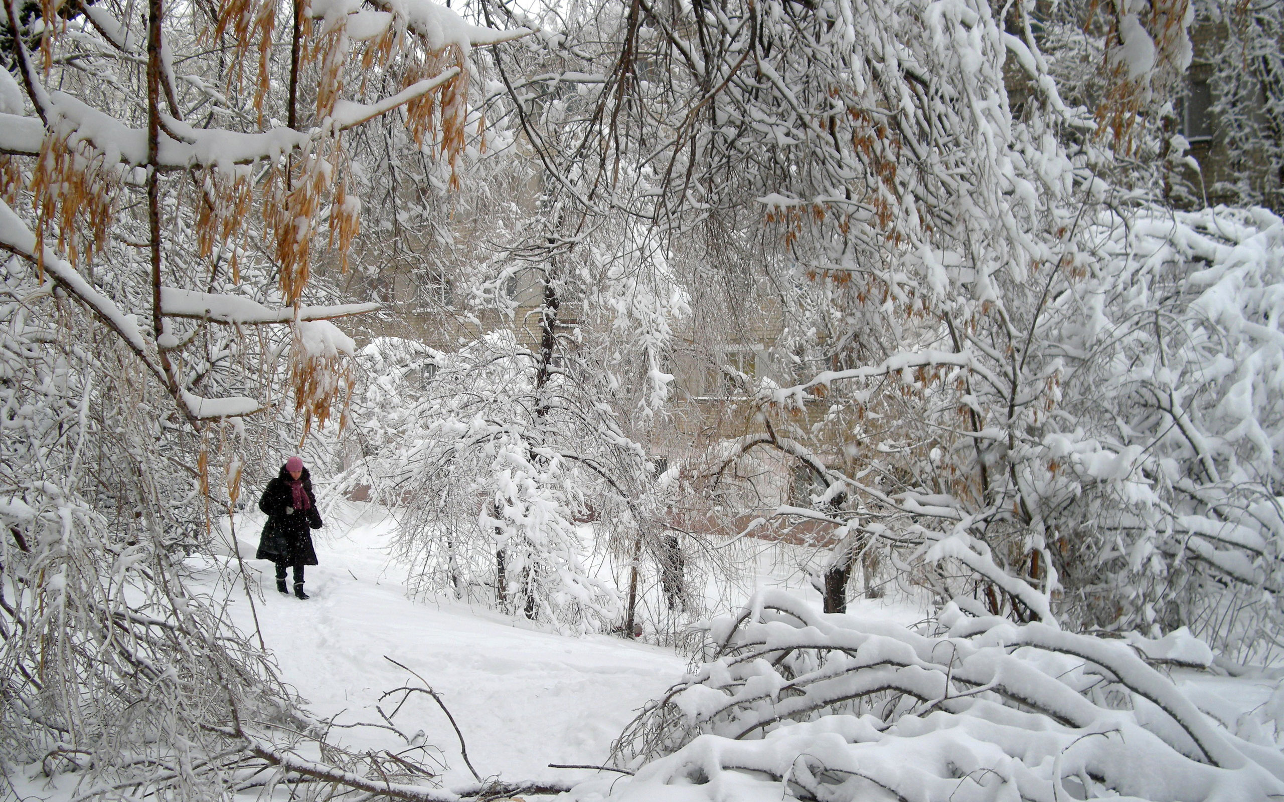 шуваловский парк зимой