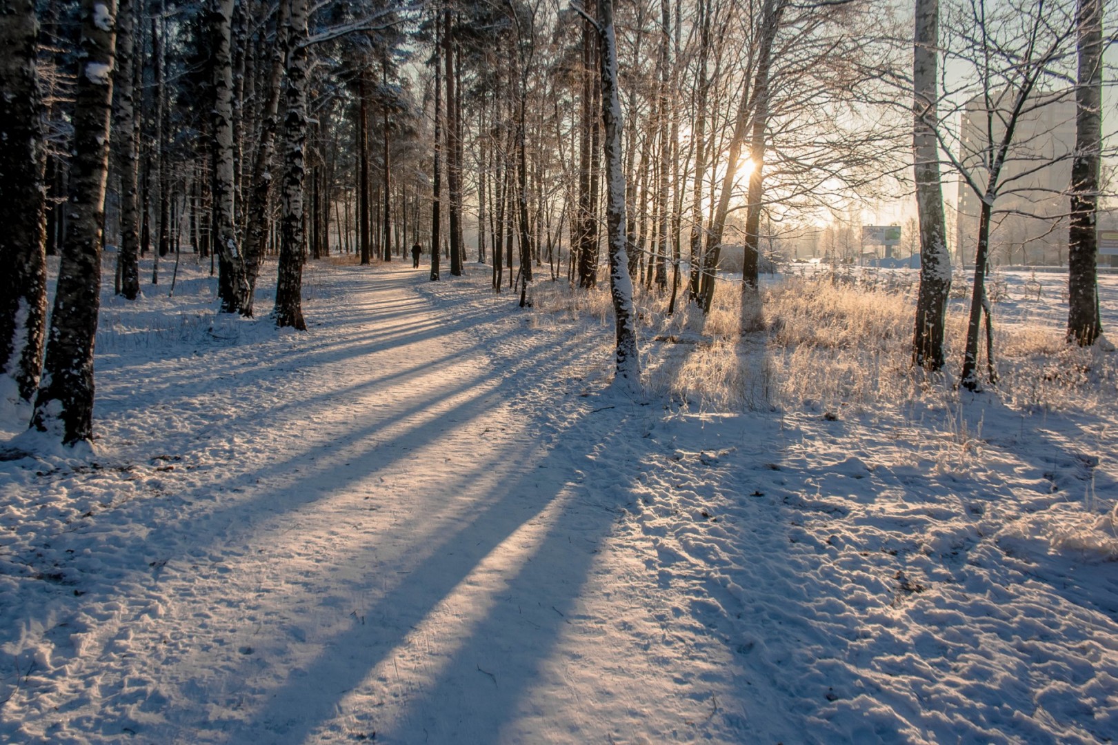 Зимняя прогулка 