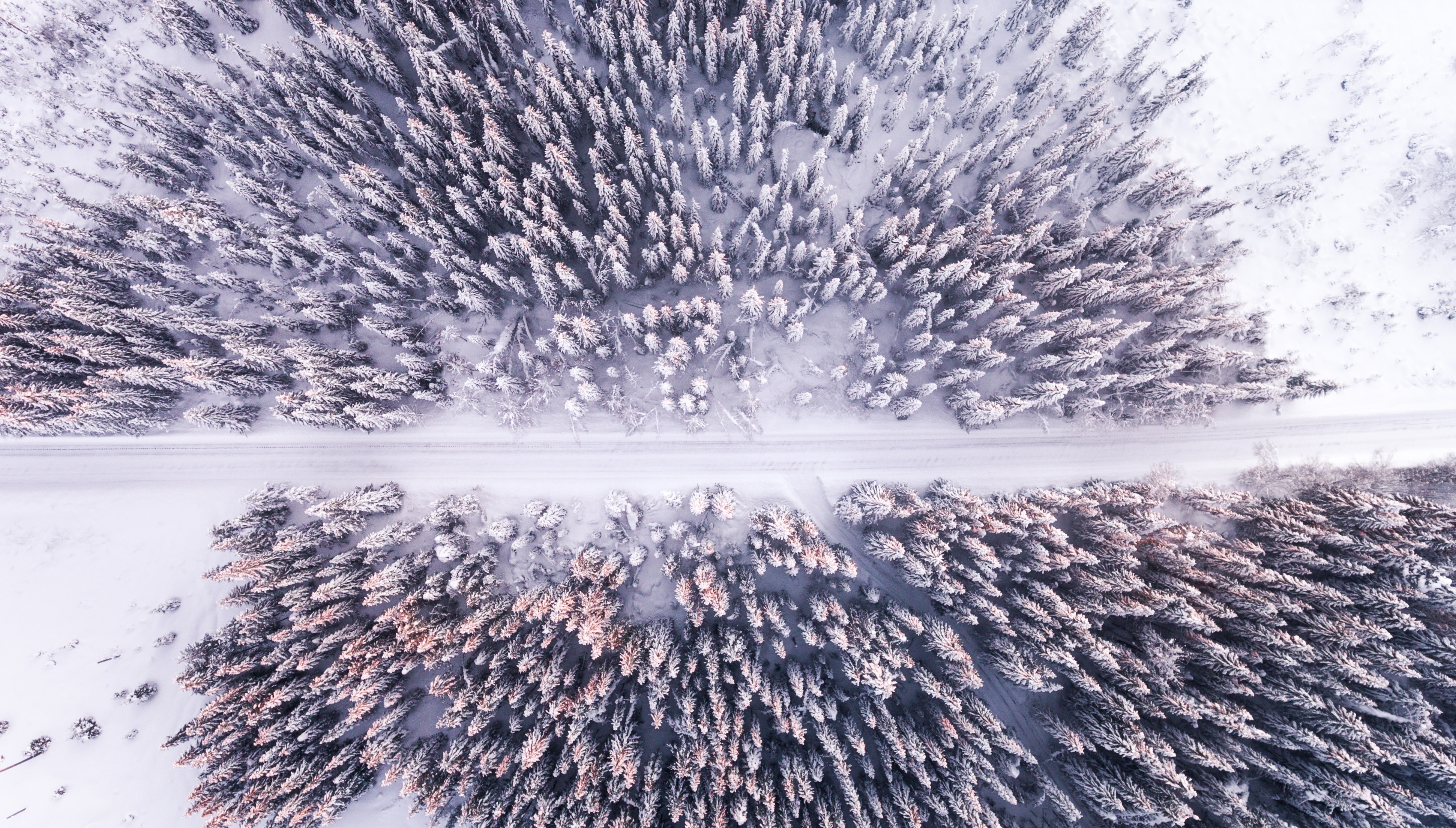 Зима вид с дрона