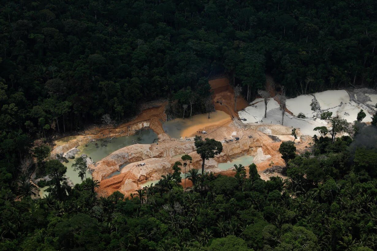 Леса амазонки Бразилия