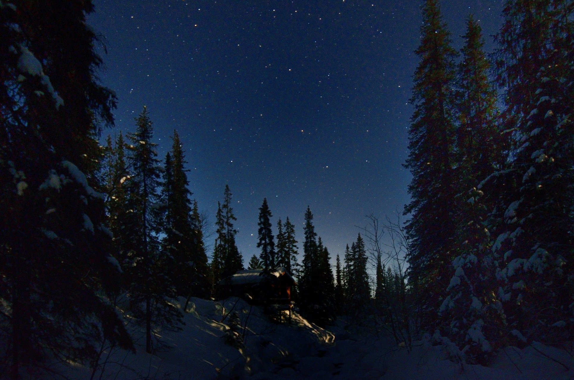Лес ночь Север зима