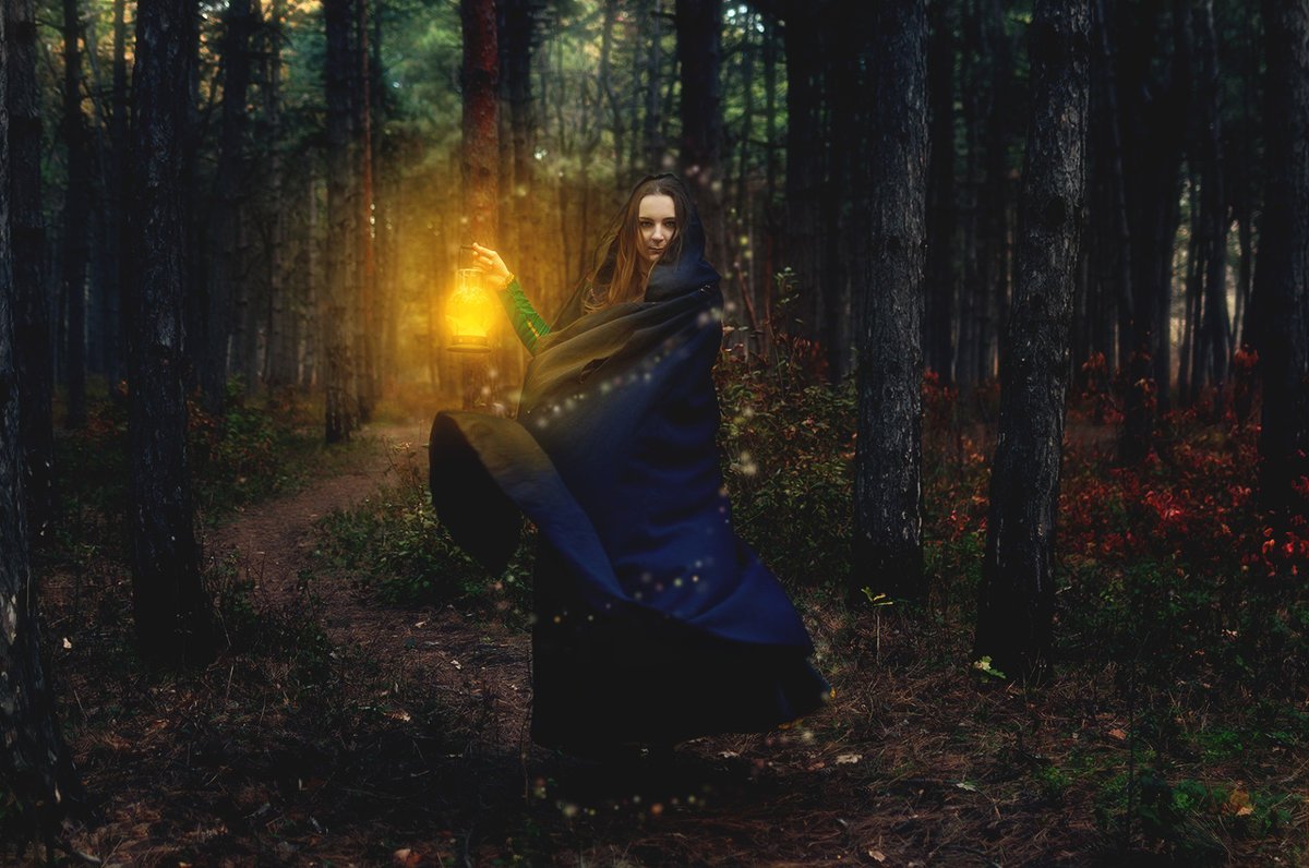 Ведьмы В Лесу