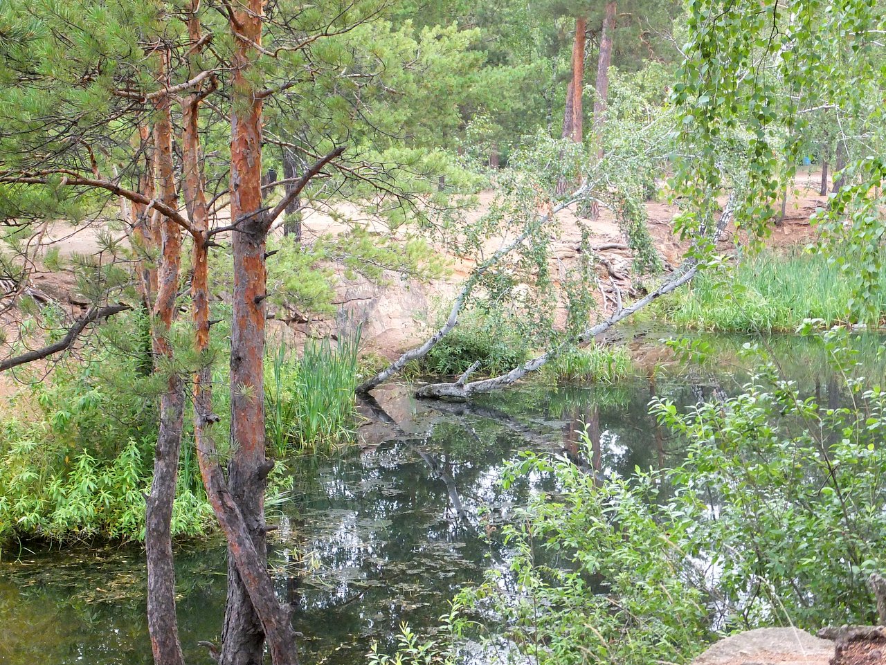 гагаринский парк в тюмени