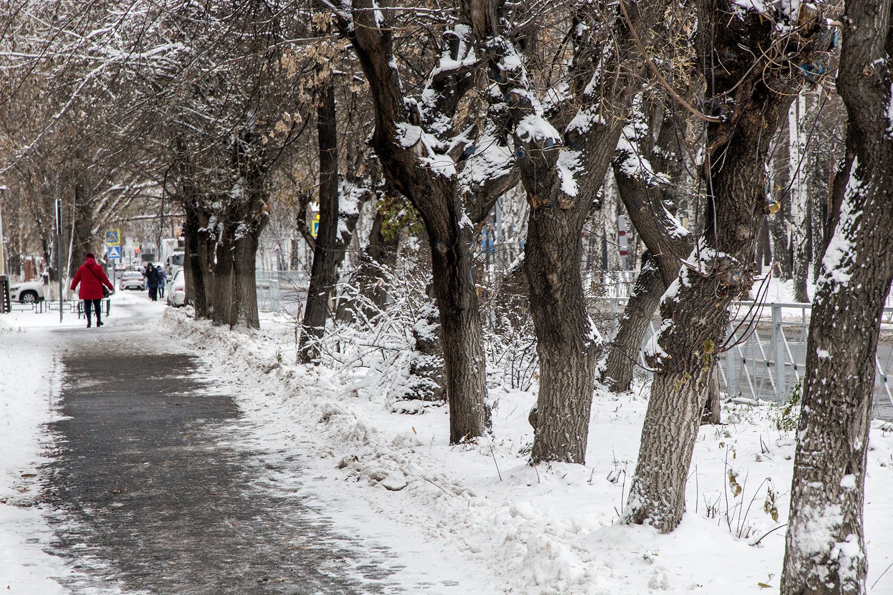 тюмень парк имени гагарина