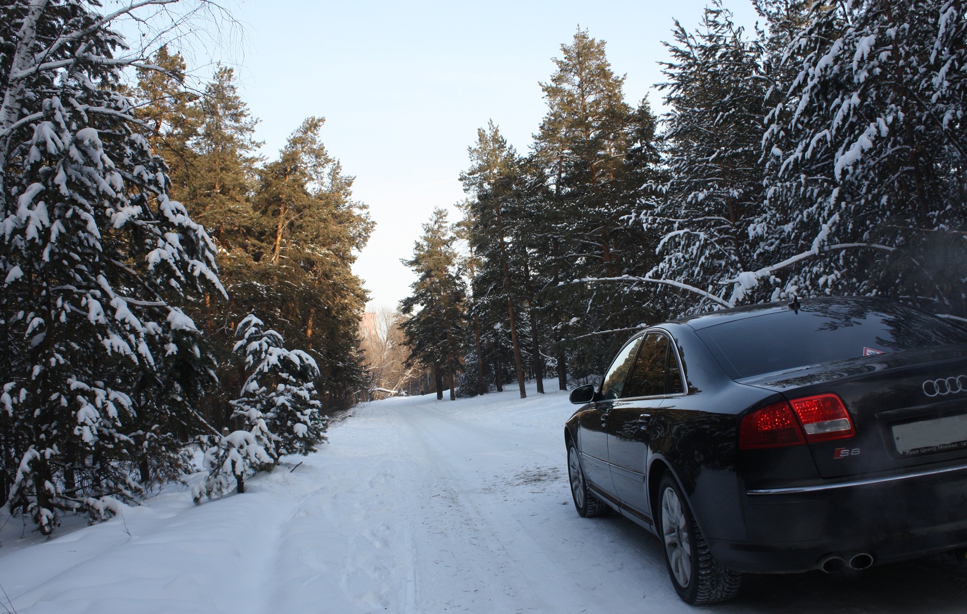 Audi s8 Snow