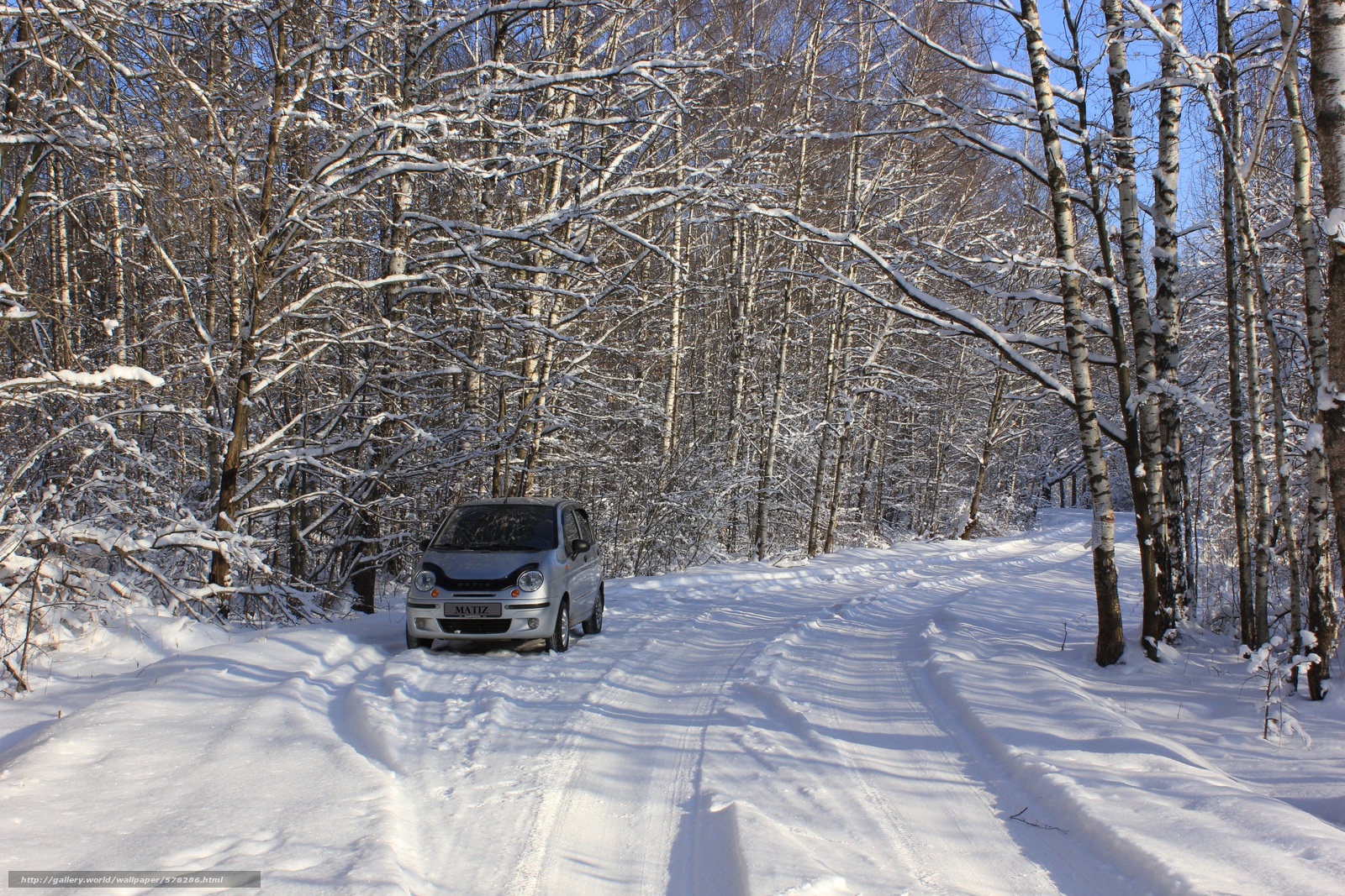 Автомобиль зимой в лесу