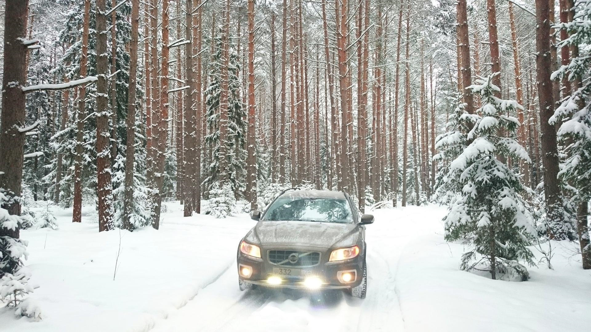 Volvo xc70 в лесу