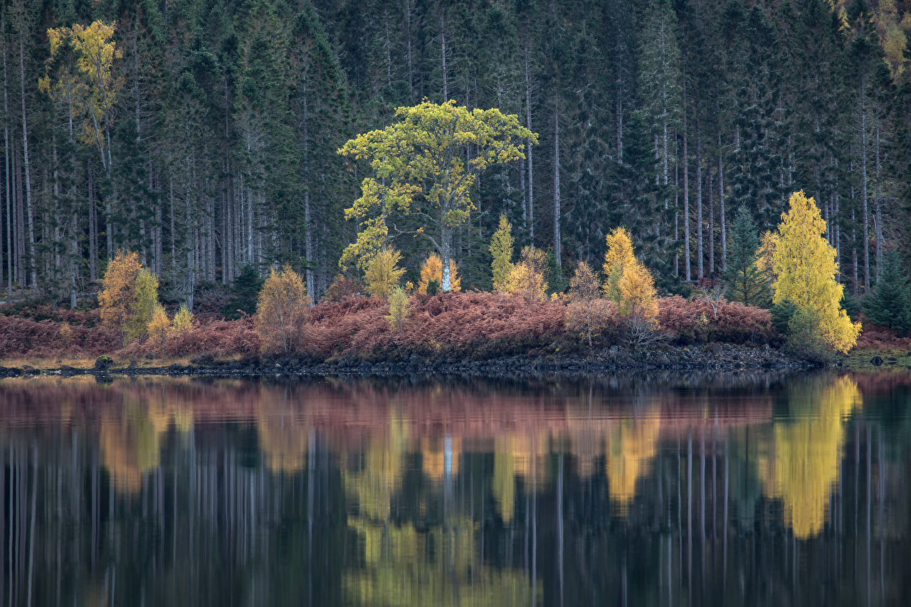 Озеро в лесу осенью