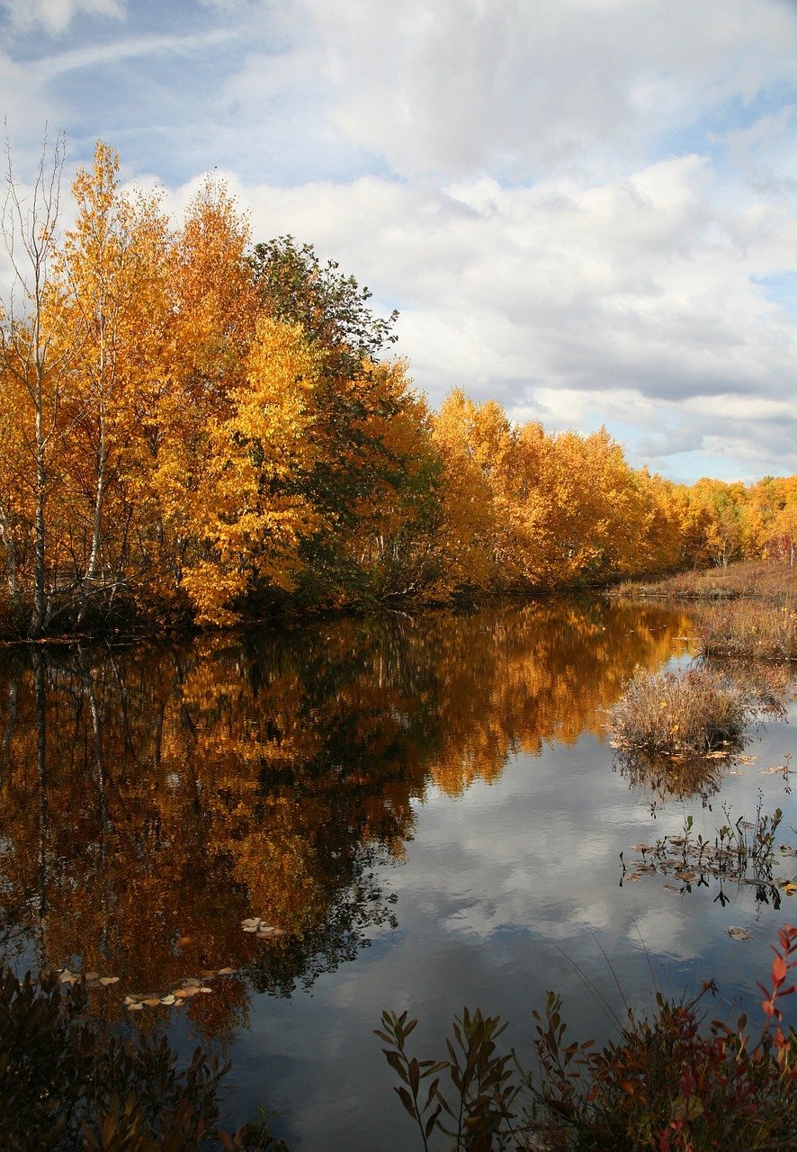 Золотая осень озеро