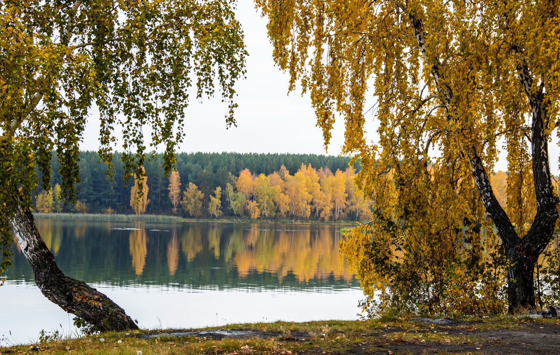 Озеро Березка Нижегородская