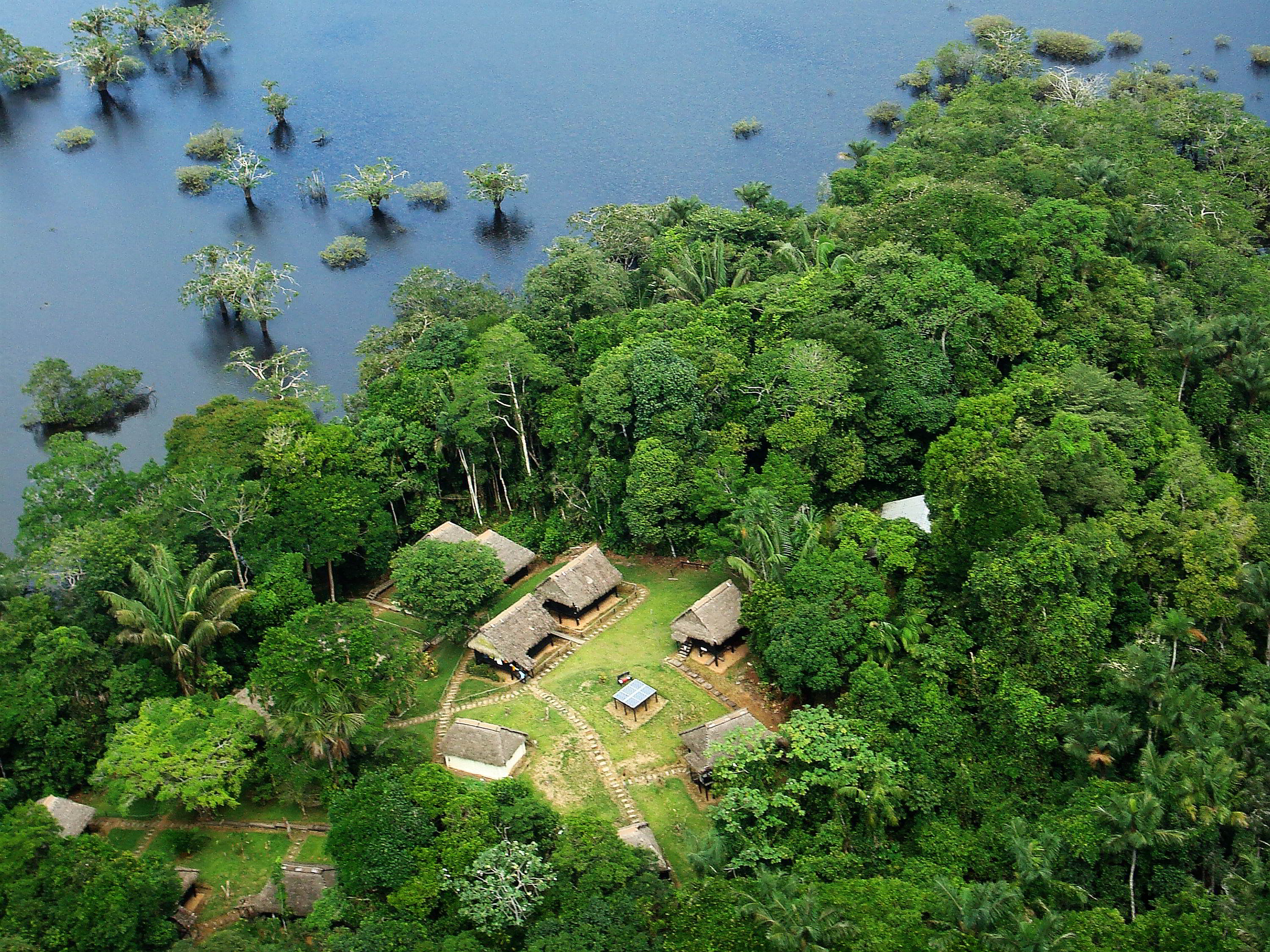 Эквадор джунгли амазонки
