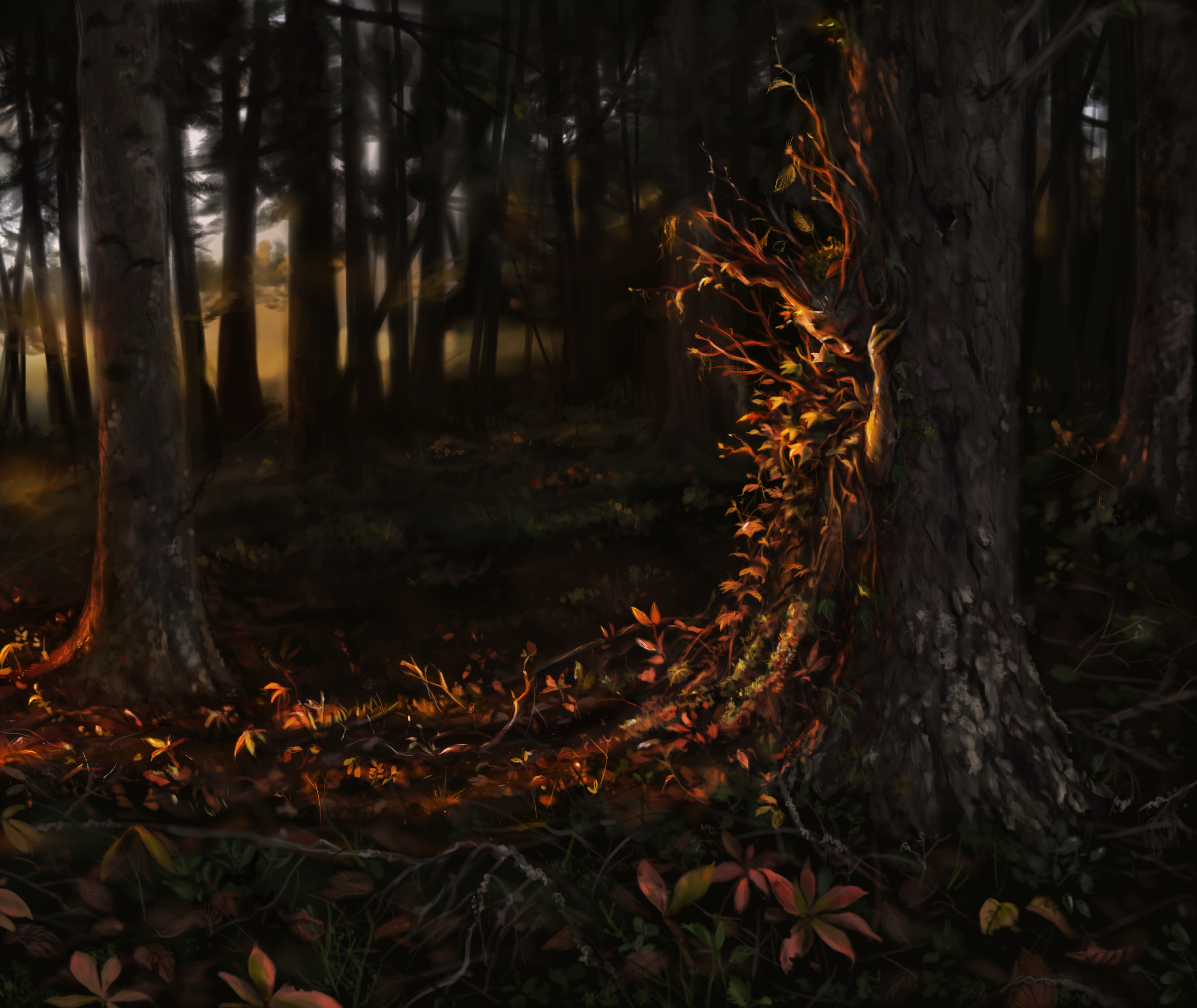 Осенний лес фэнтези