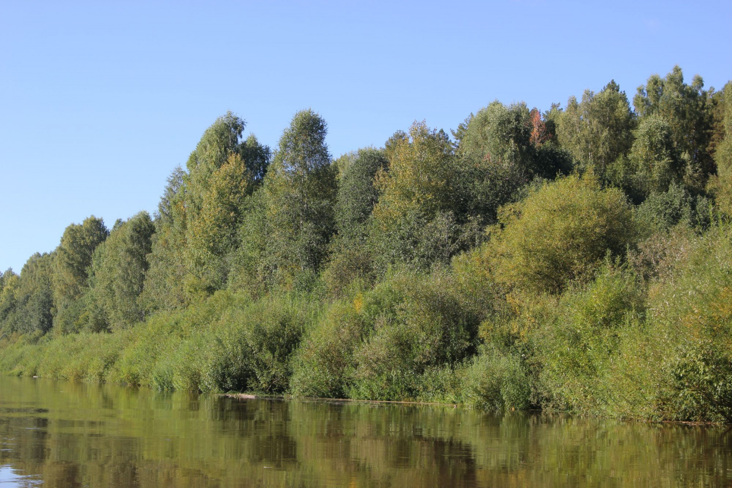 Река Унжа Кологривский район