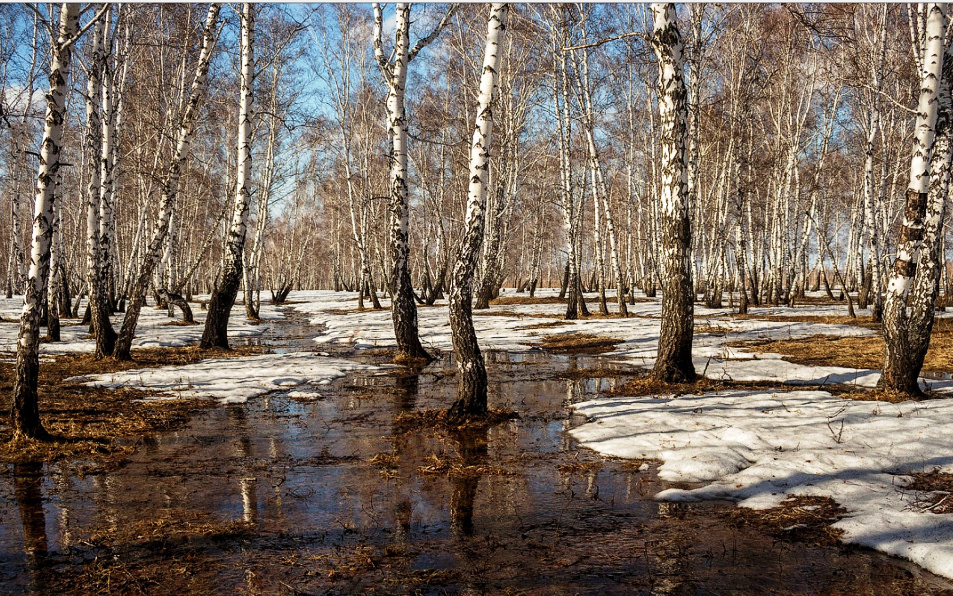 Весенний пейзаж