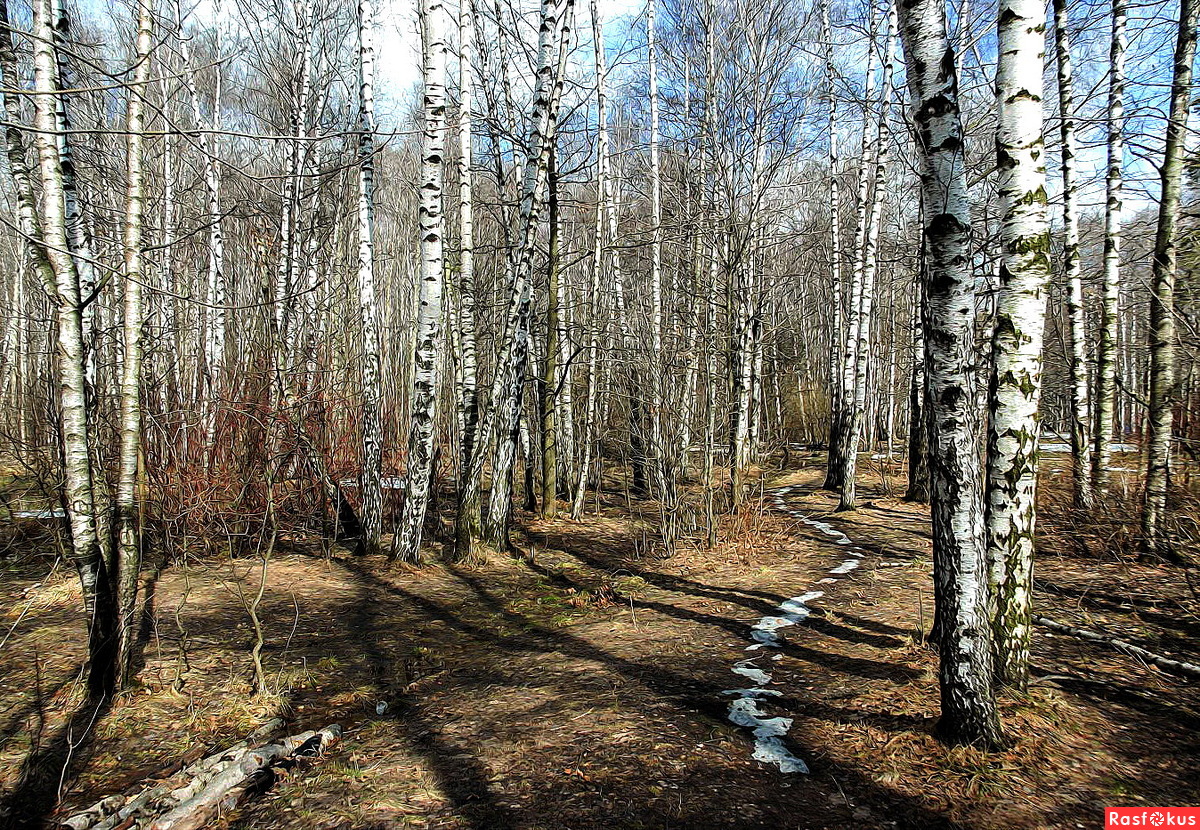 Апрель картинки лес