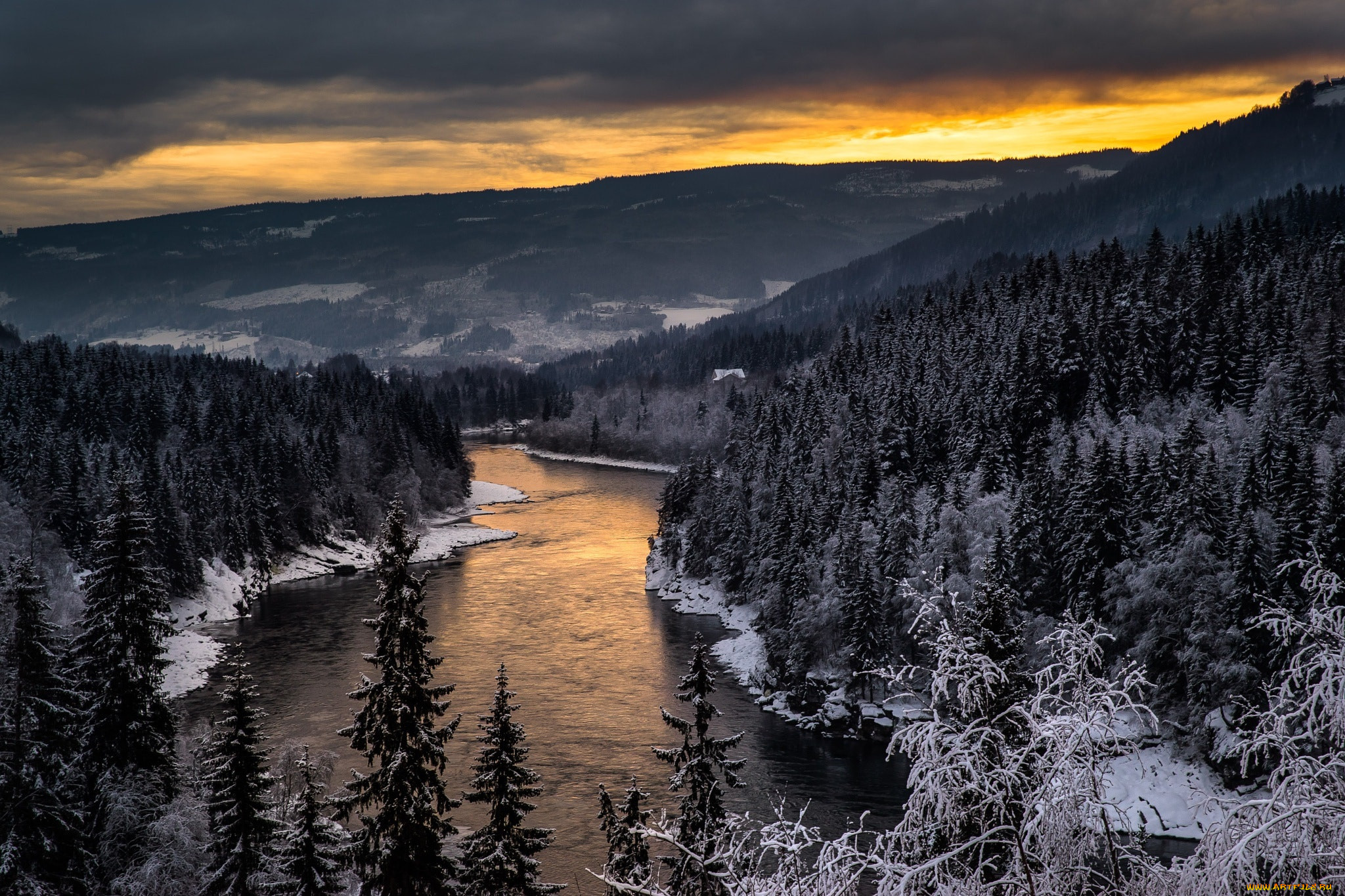 Норвегия лес зима