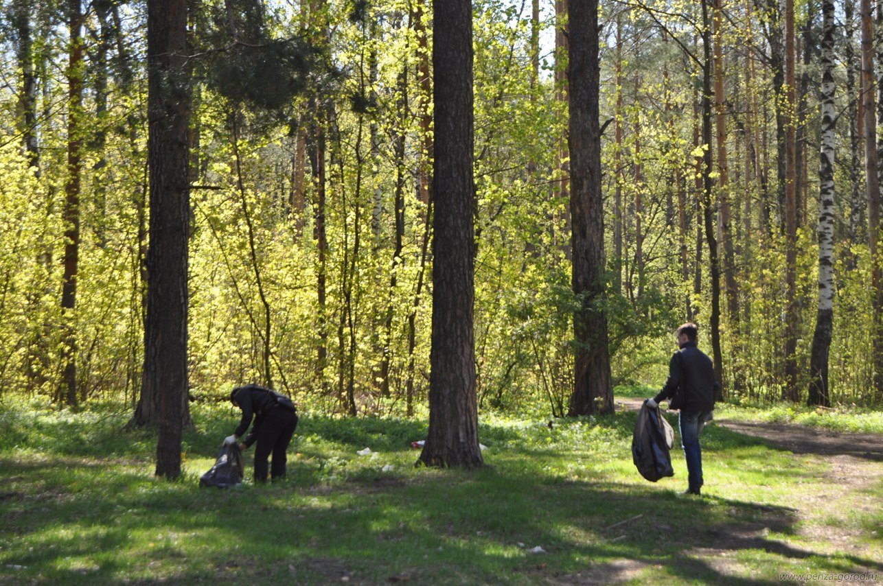 Рекреация лесов Беларуси