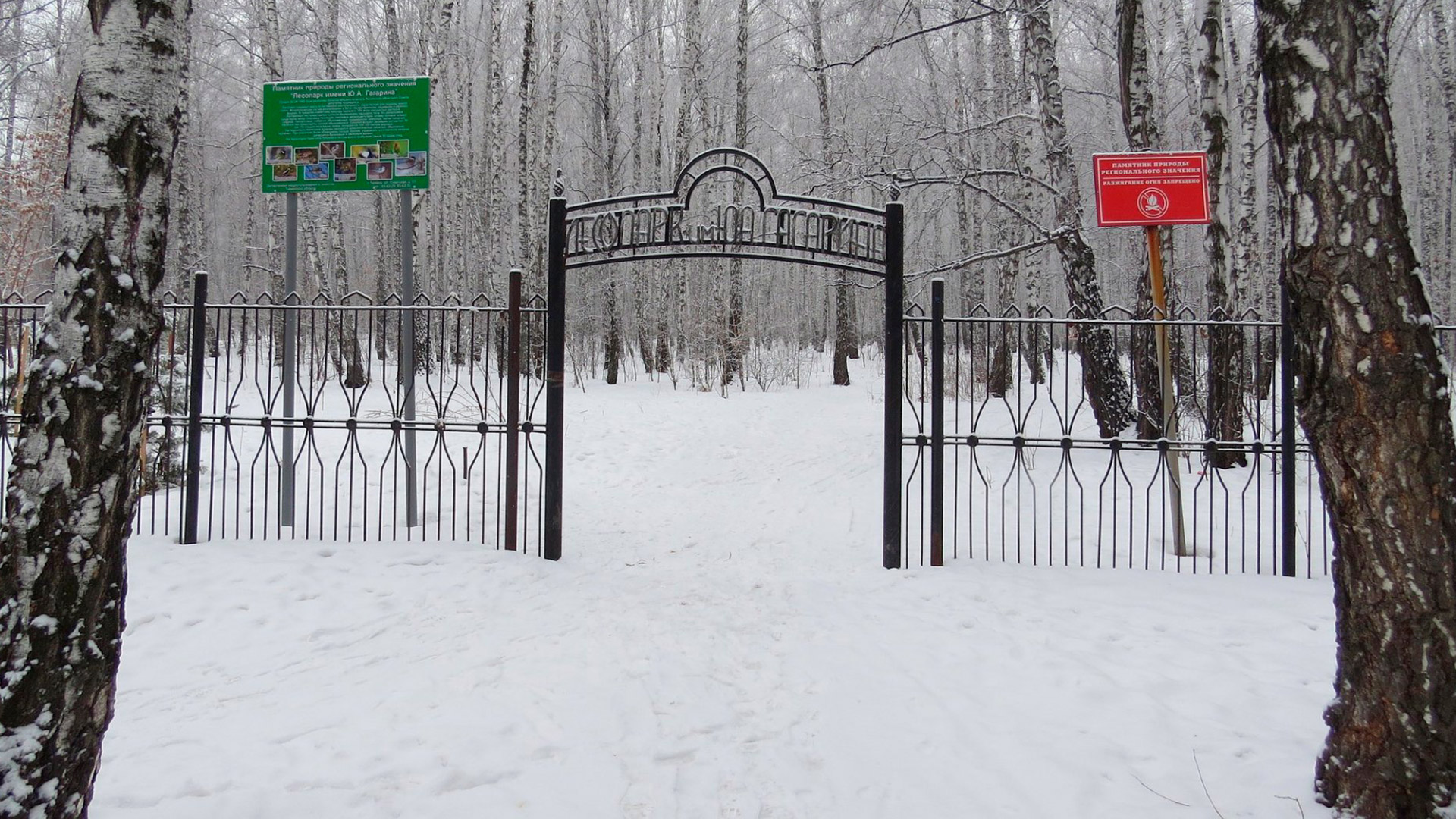 тюмень парк имени гагарина