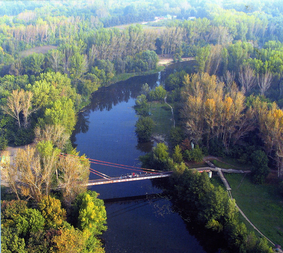 Река Лесной Воронеж Тамбовская