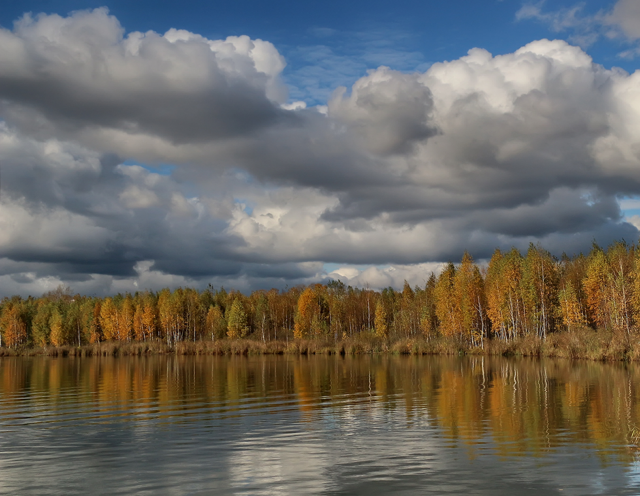 Водохранилище Калуга осень