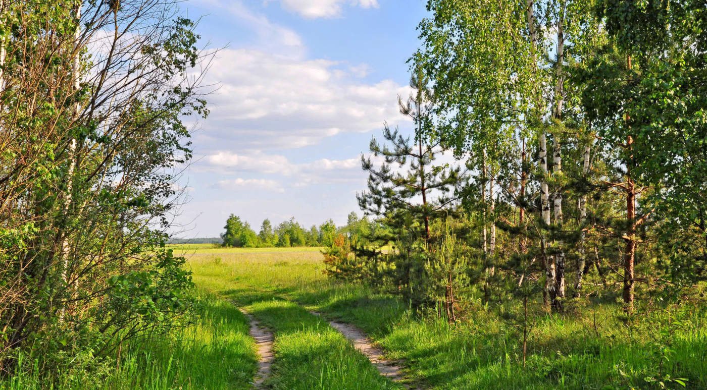 Опушка село Россия