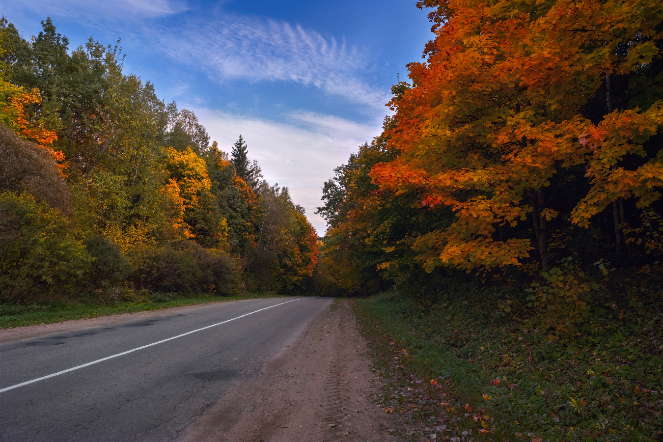 Осенняя Лесная дорога