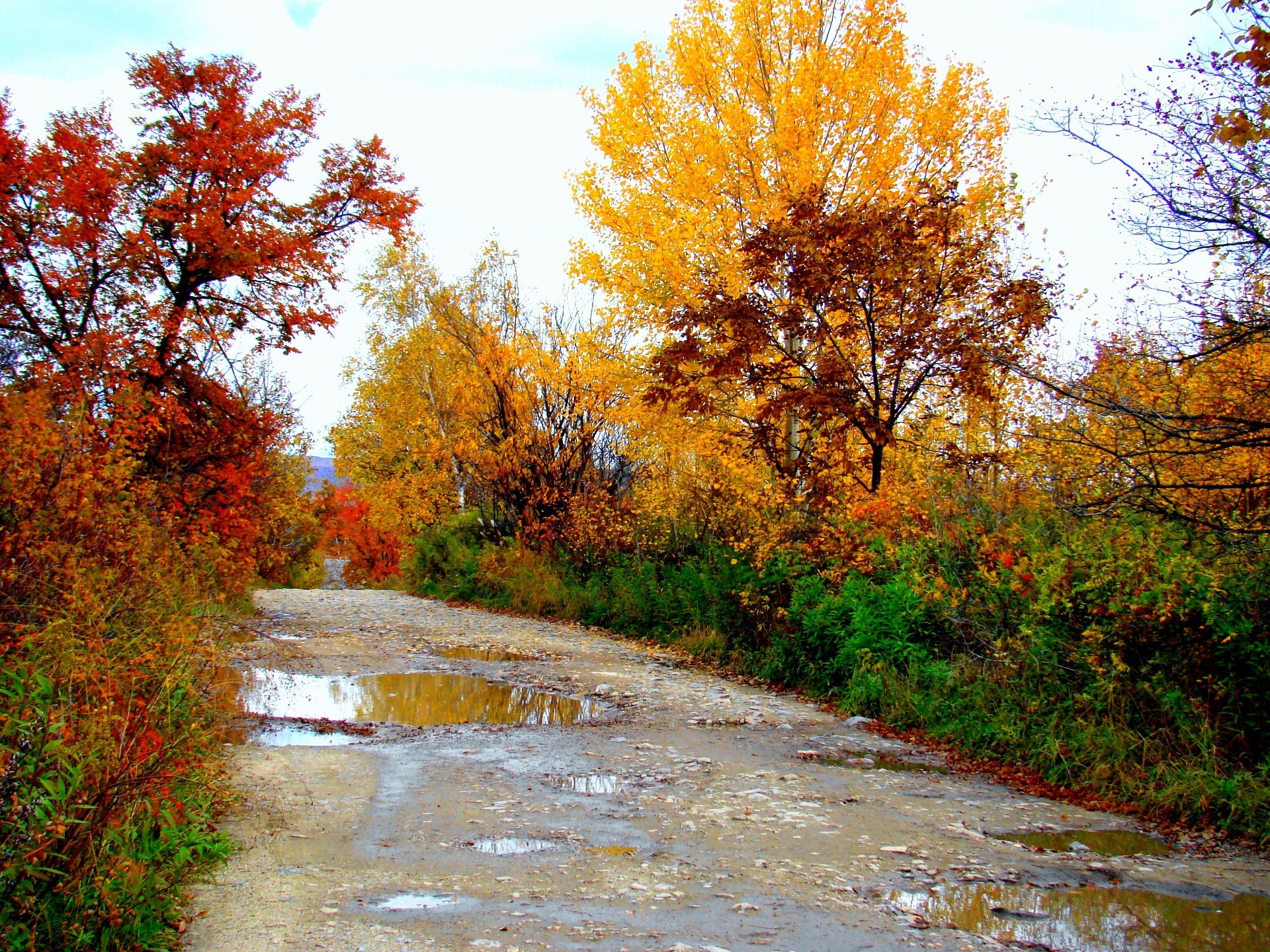 Осенний пейзаж