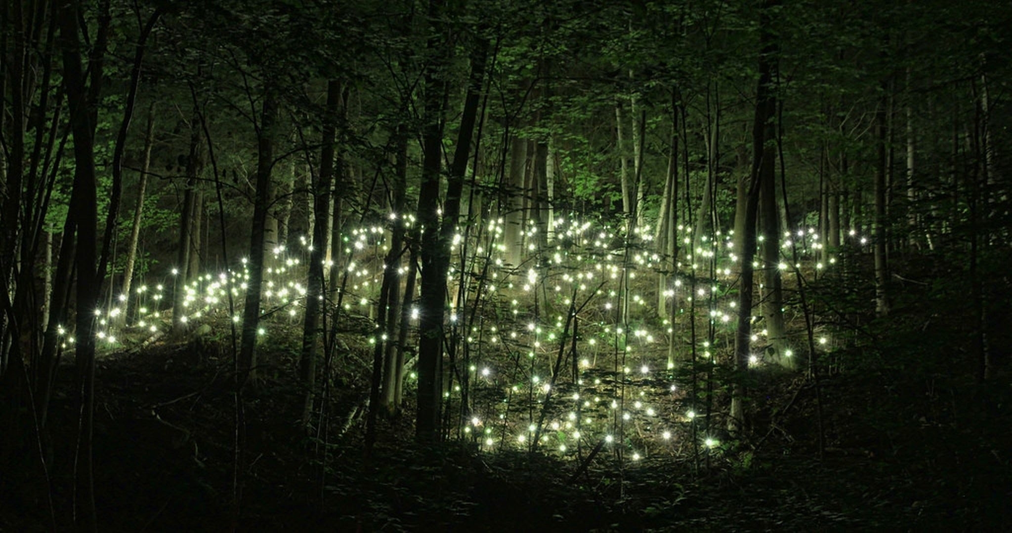 Светлячки В Саду – Эротические Сцены