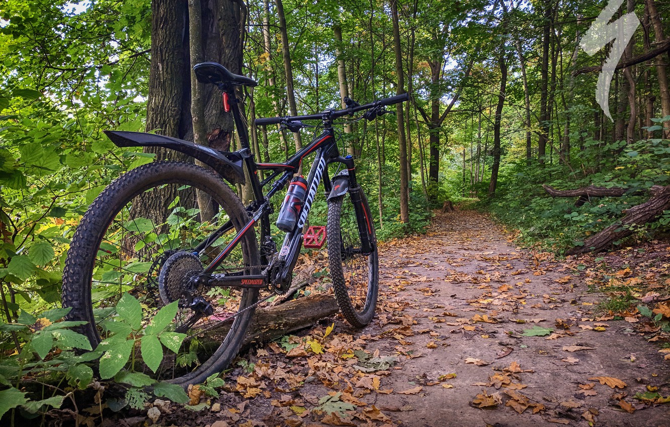 Велосипед в лесу