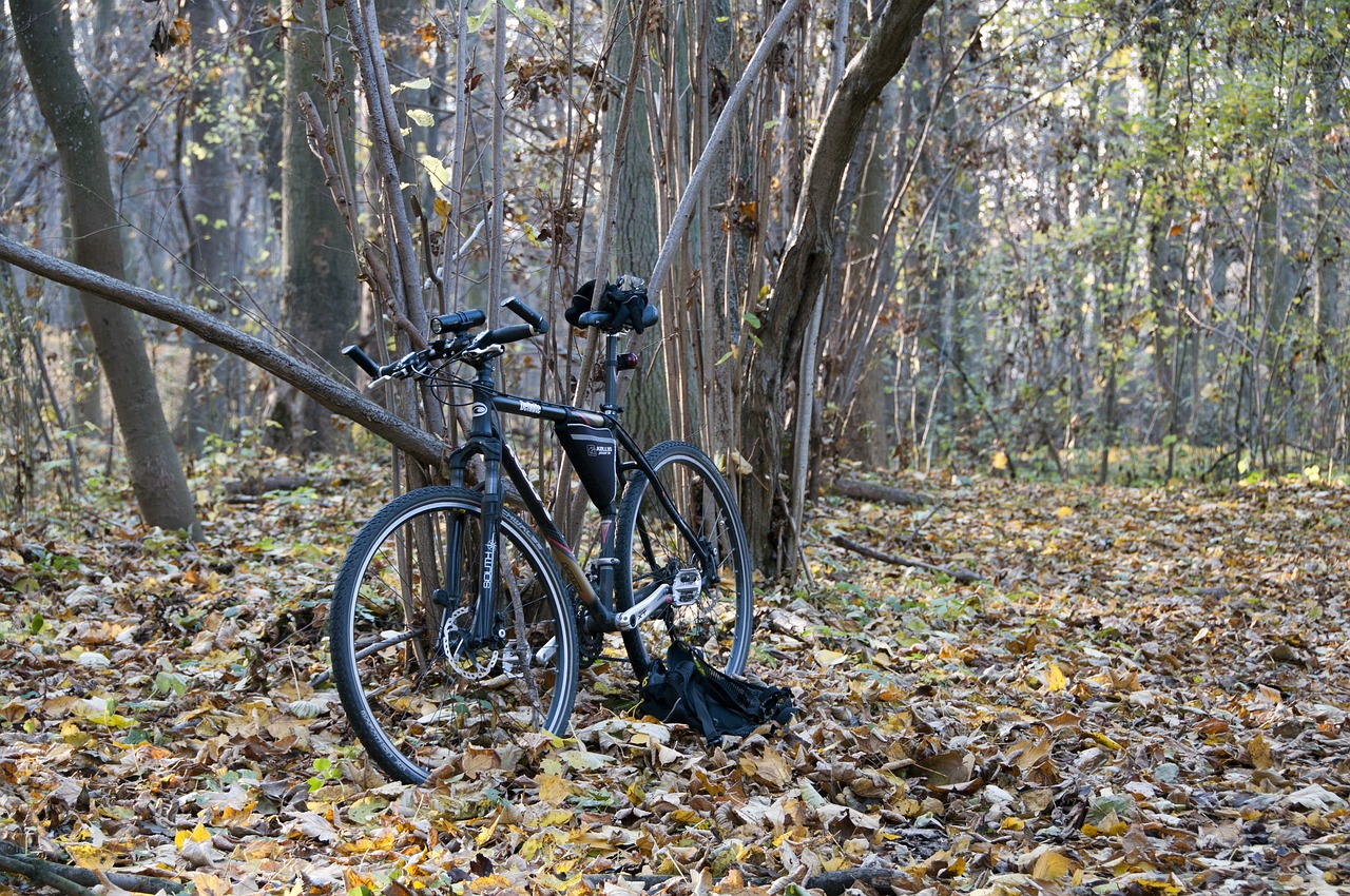 Велосипед в лесу