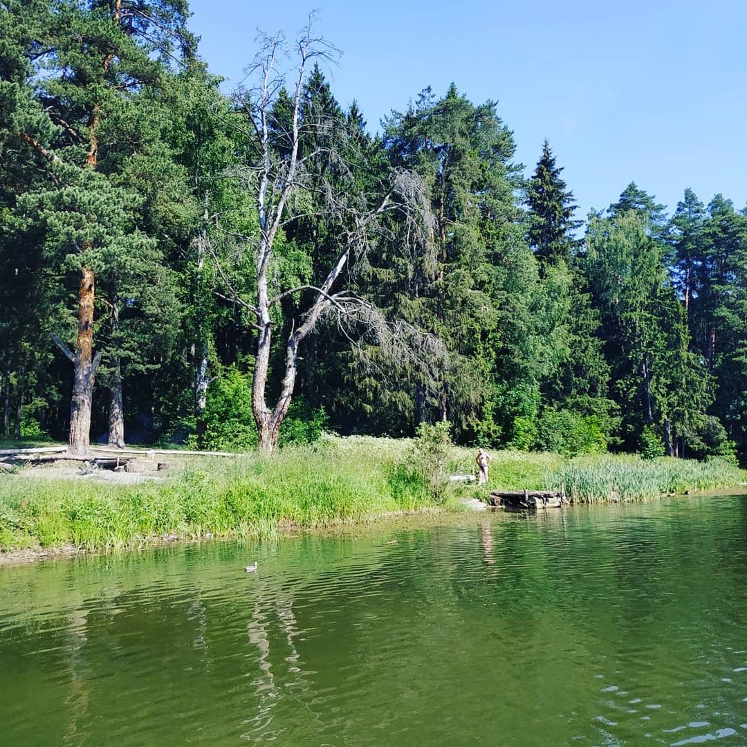 Подушкинский лесопарк в Одинцово