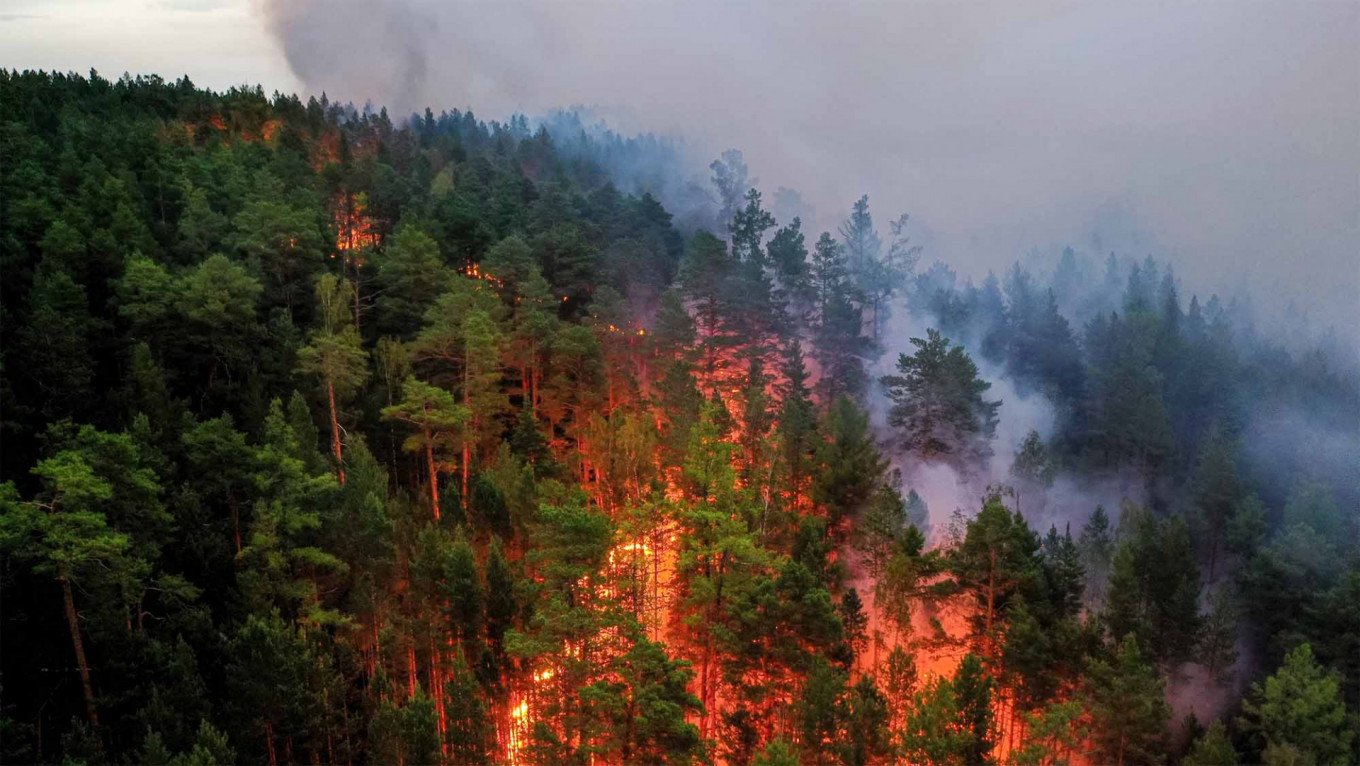 Лесные пожары в Сибири 2021