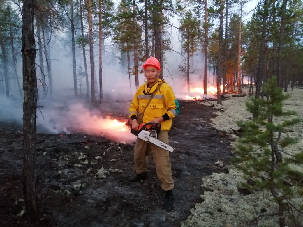 Пожары в сибирских лесах - поимка преступника и наказание