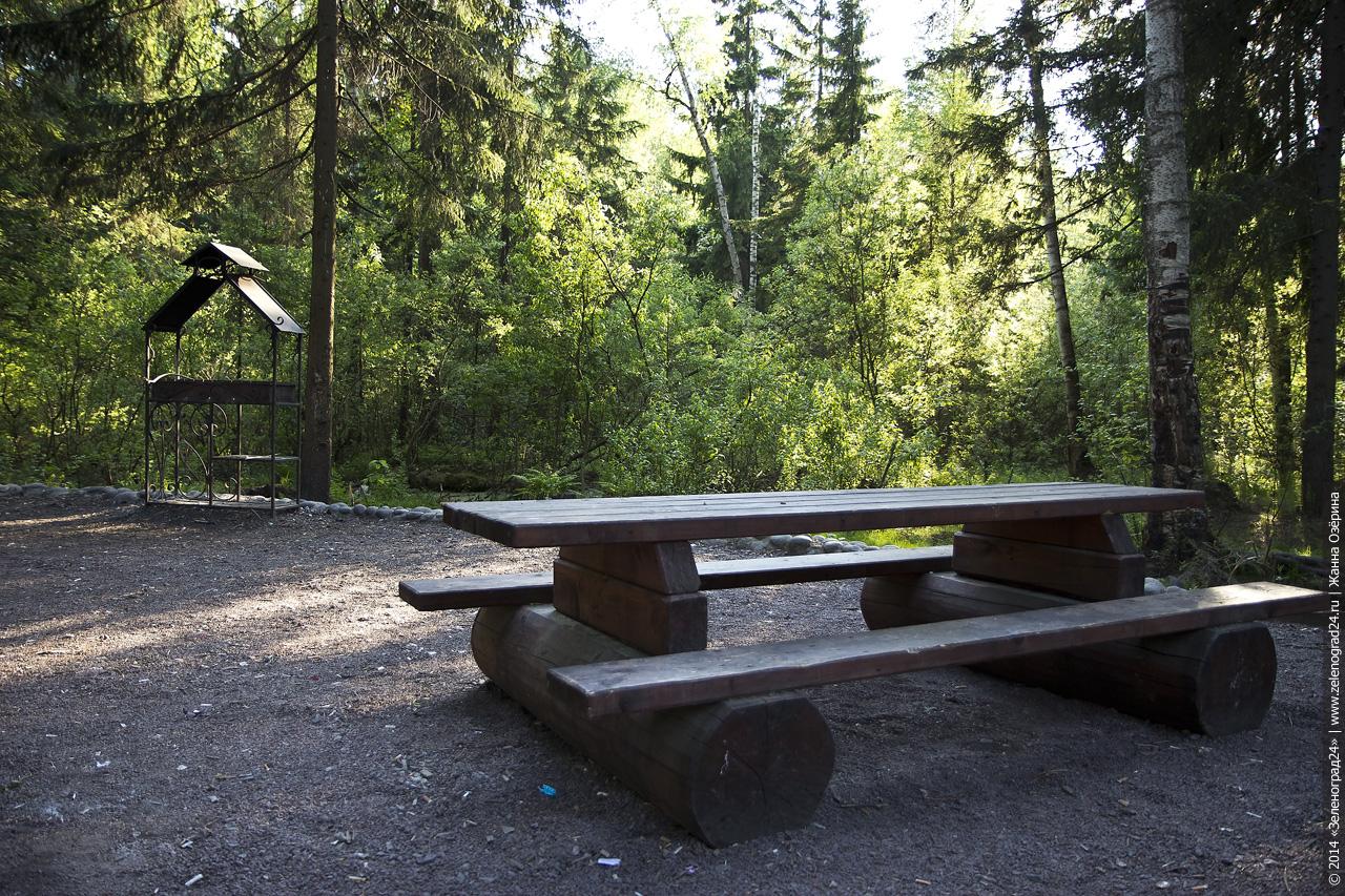 самодельный стол в лесу