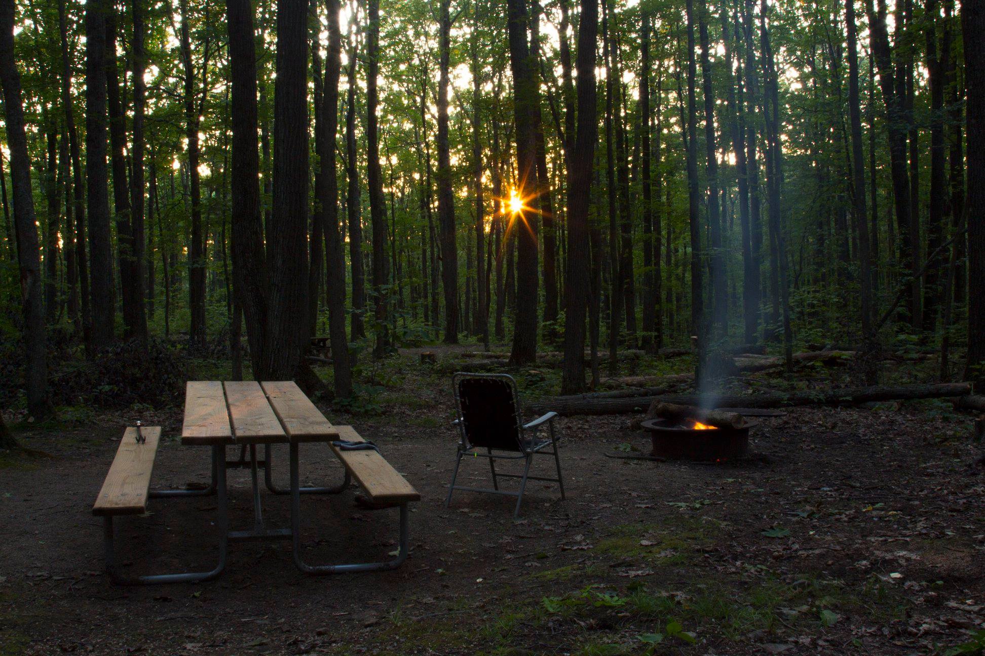 Форест-парк/ Forest Camp.
