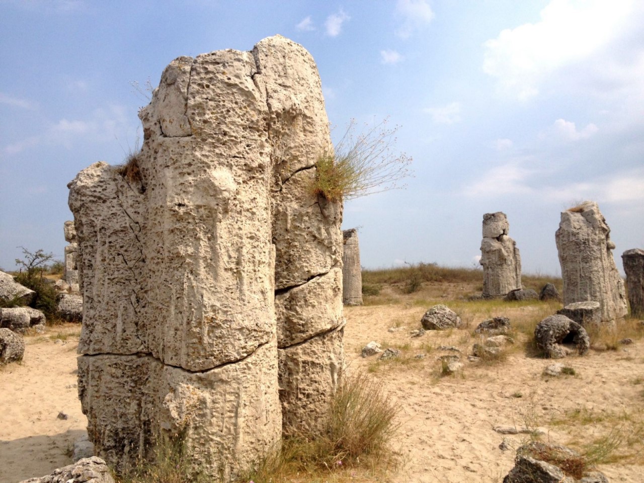 каменный лес болгария