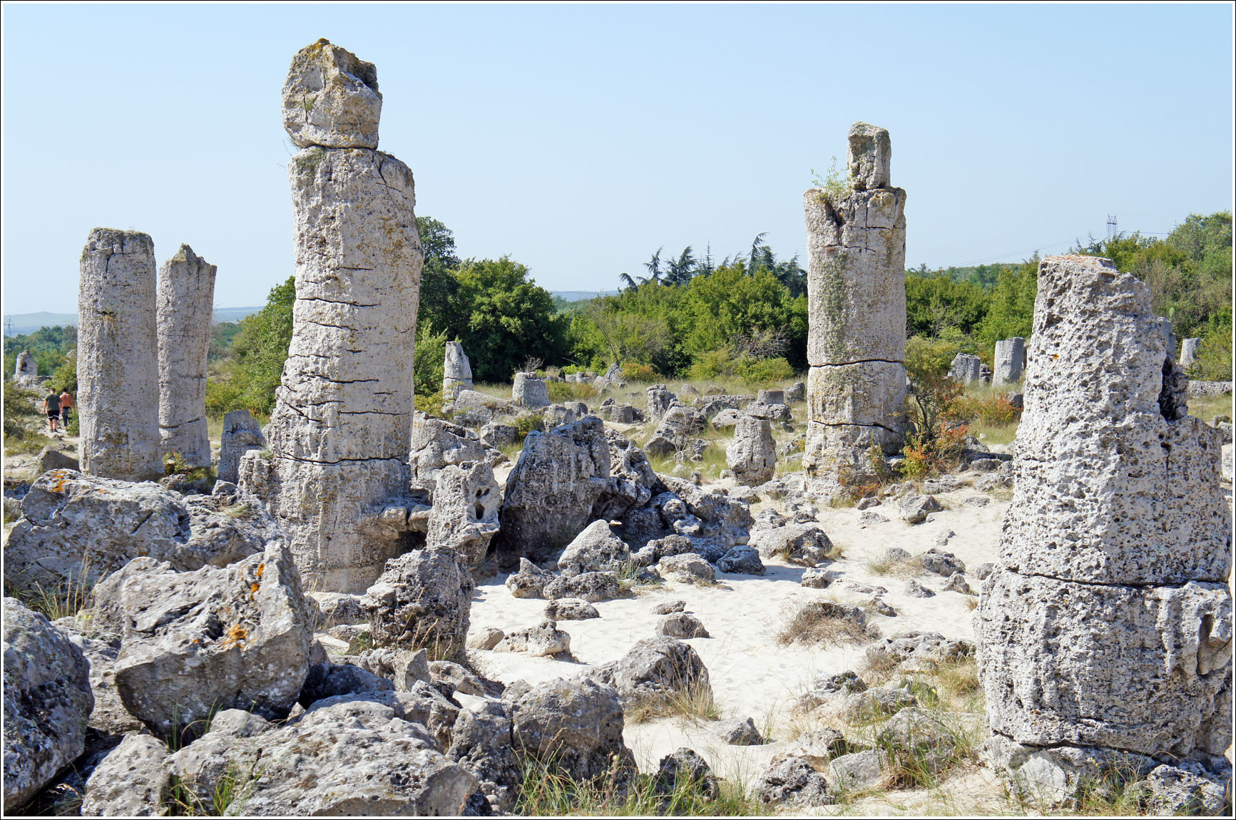 каменный лес болгария