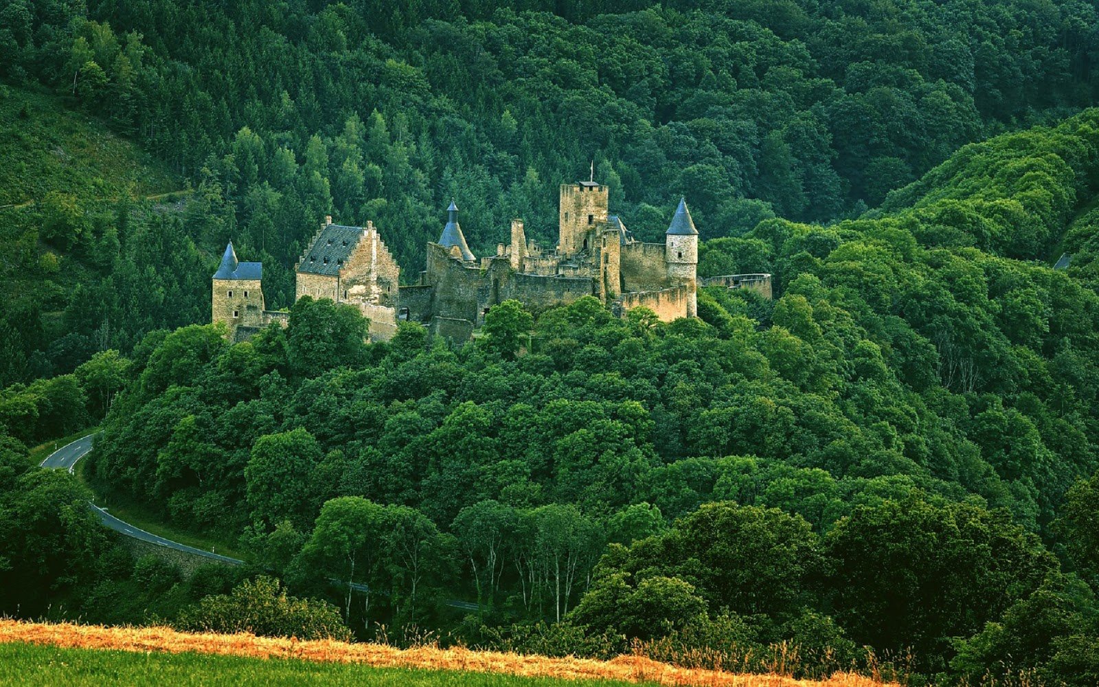 Люксембург лес